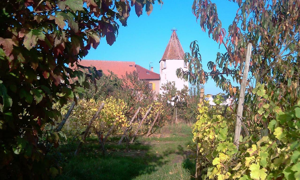 Les Gites De La Tour, Appartement "La Plaine" Saint-Hippolyte  Zewnętrze zdjęcie