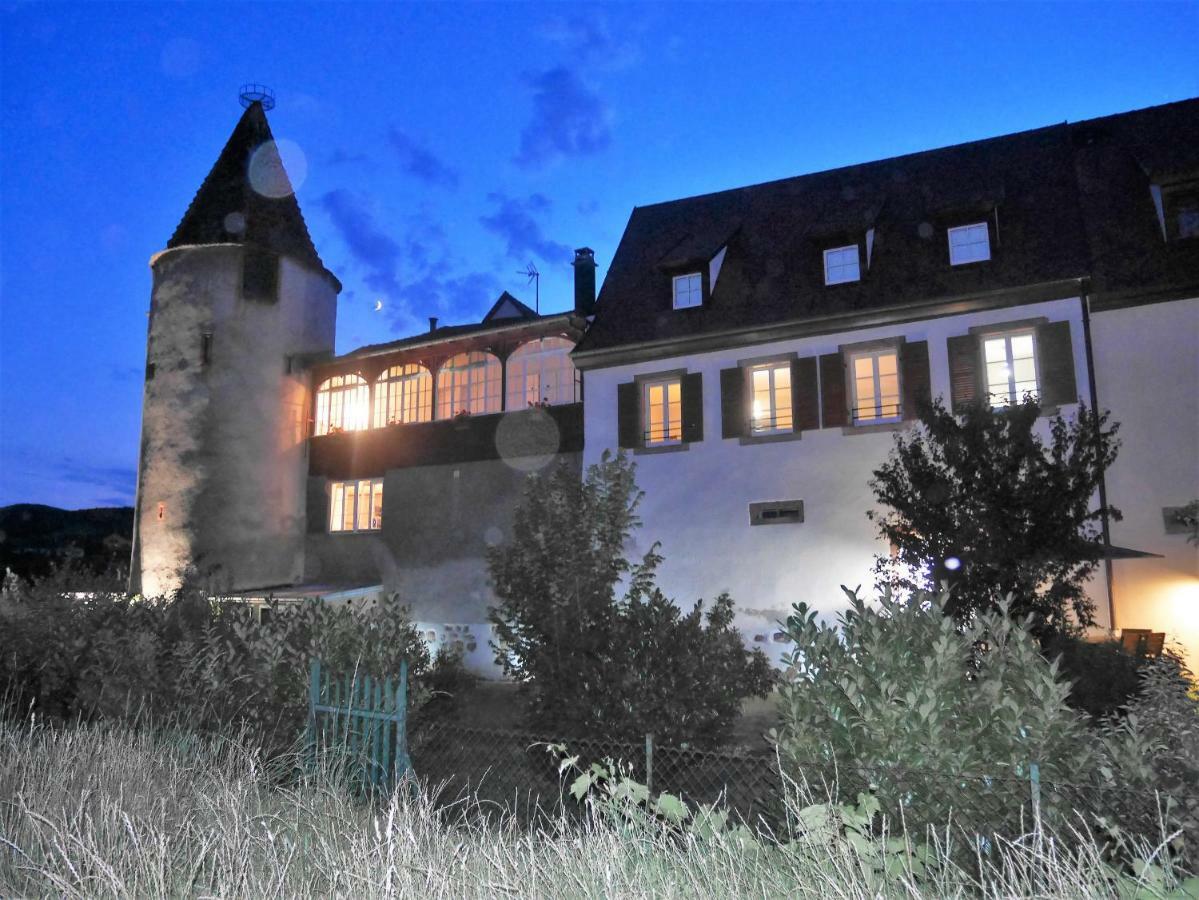Les Gites De La Tour, Appartement "La Plaine" Saint-Hippolyte  Zewnętrze zdjęcie
